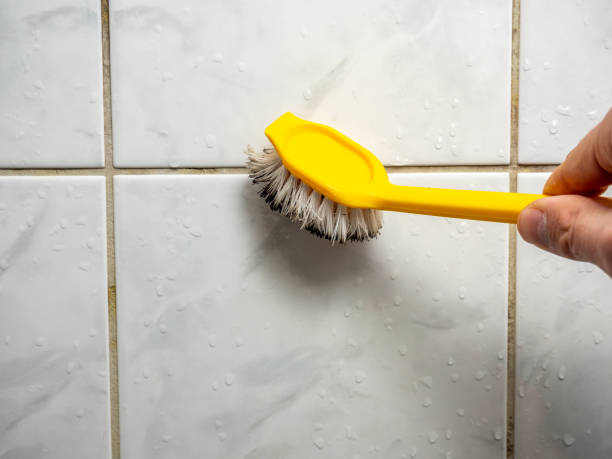 Best Mold Testing and Inspection Services in Ladd, IL